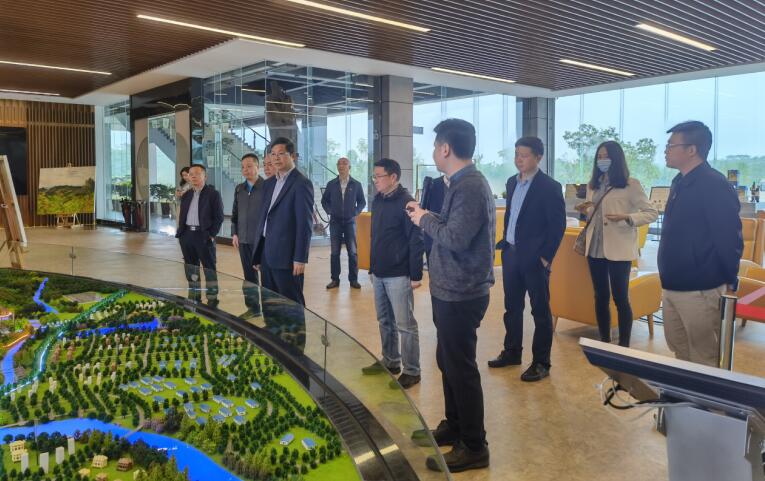 广西旅发集团党委书记、董事长容贤标考察集团文旅项目